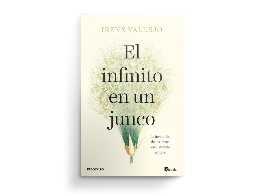 le monde 06 - El infinito en un junco