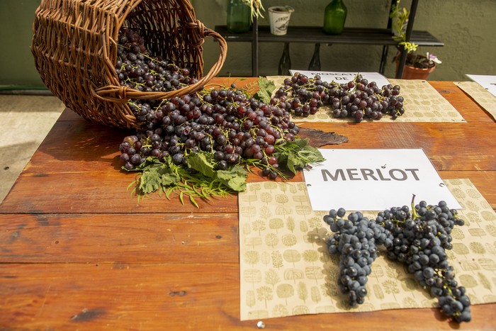 (Archivo, febrero de 2024) · Foto: Ignacio Dotti