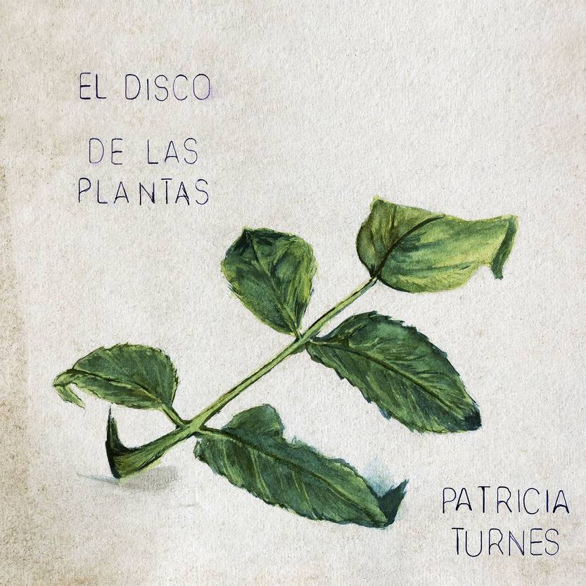 DISCO plantas-3000x3000