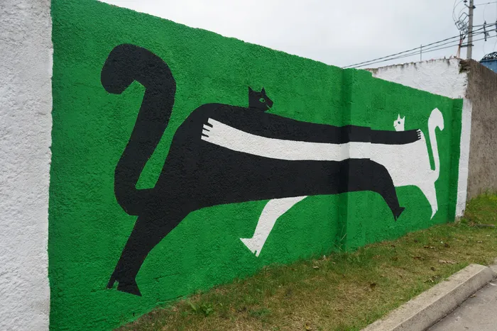 Foto principal del artículo 'Festival de Arte Urbano Wang se va a Minas' · Foto: Difusión