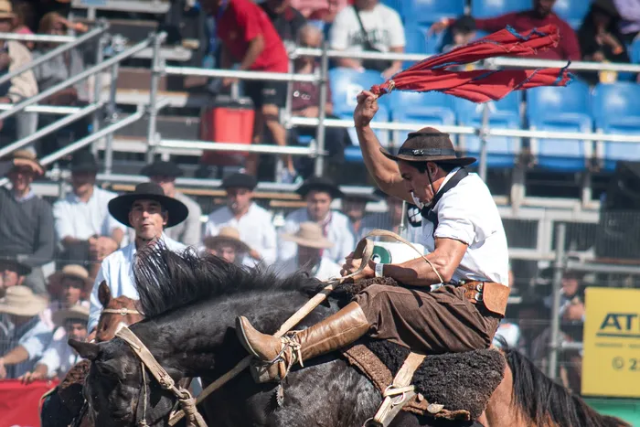 Federico Pereira compitiendo en la 98a edición de la Semana Criolla del Prado.
Foto: Nahiara Bentancor / Raíz Criolla Fotografía (archivo, marzo de 2025)