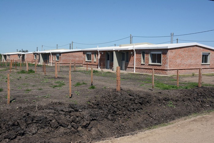 Ombúes de Lavalle. · Foto: Intendencia de Colonia