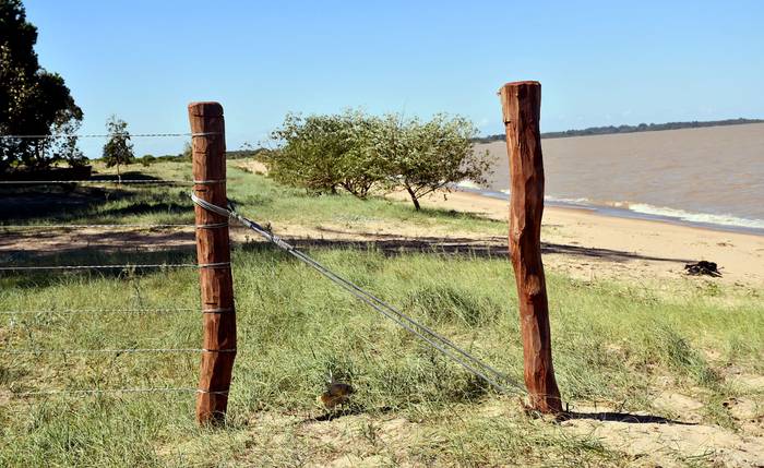 Playa Los Piamonteses, de Colonia (archivo, marzo de 2022). · Foto: Ignacio Dotti