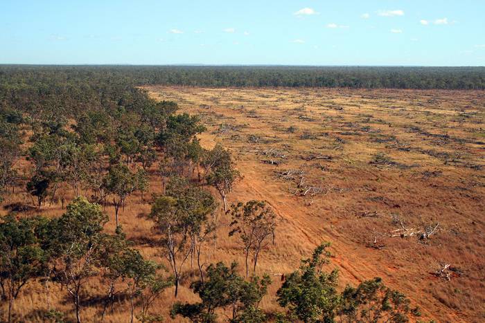 Deforestación en Australia, 2008. · Foto: Julian Murphy (WWF-Aus)