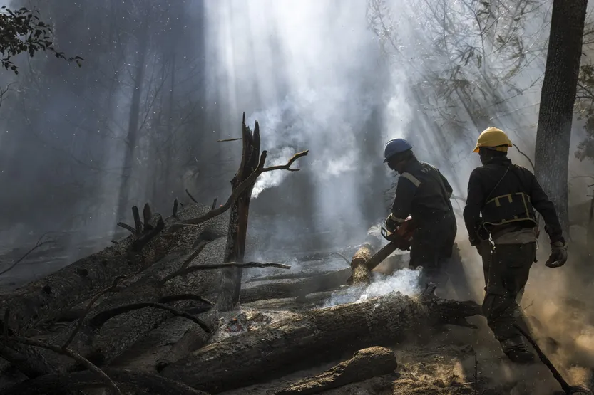 Lento 157 - Sin nosotros no hay pueblo 04