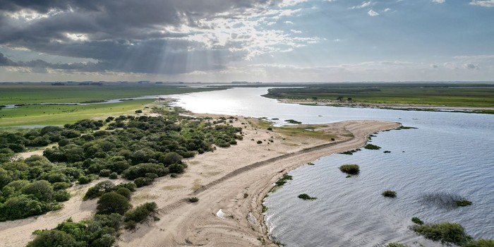 Desembocadura del río Tacuarí en la laguna Merín. · Foto: Eitan Abramovich, Dialogue Earth