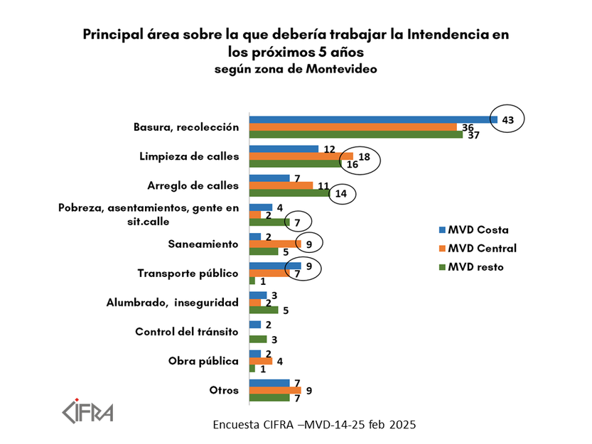 principales problemas de Montevideo-encuesta Cifra