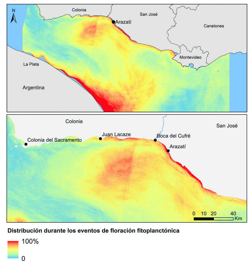 Distribución durante los eventos de floracion fitoplanctónica