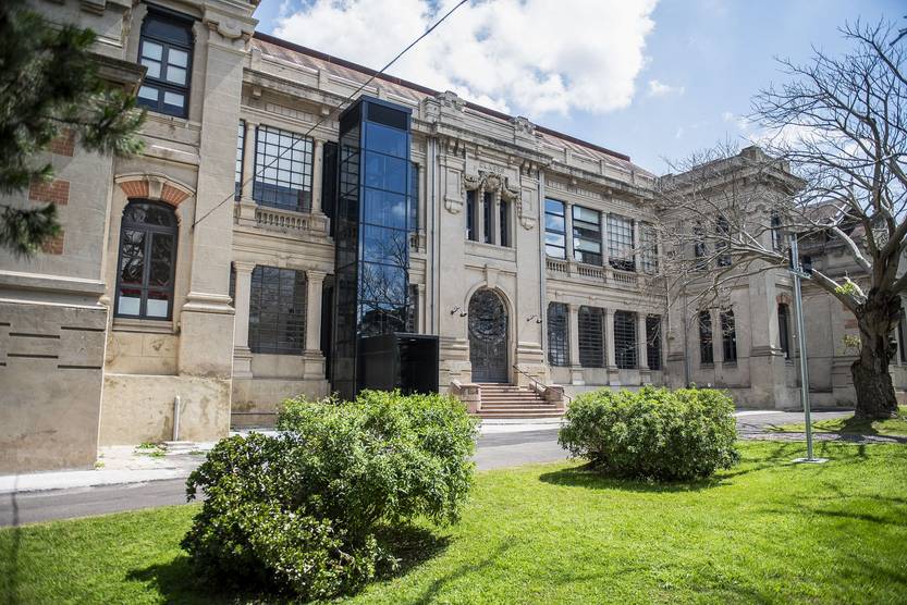 20251202 EDU Veterinaria