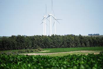 Soja, forestación y molinos eólicos en un campo en Colonia. · Foto: Ignacio Dotti