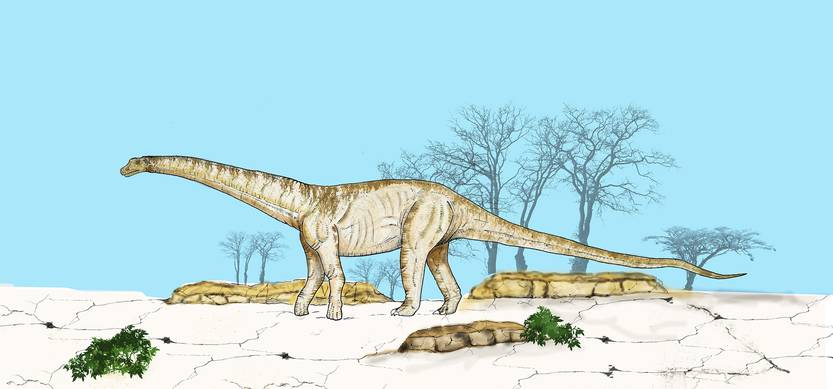 El Aelosaurus