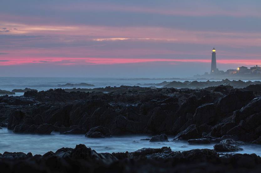 20251222 coti la paloma