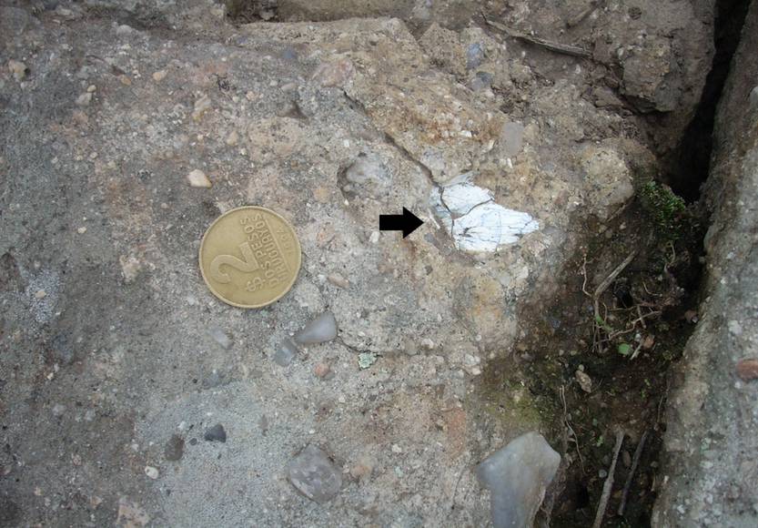 In situ