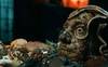 26 20221105 El gabinete de curiosidades de Guillermo del Toro
