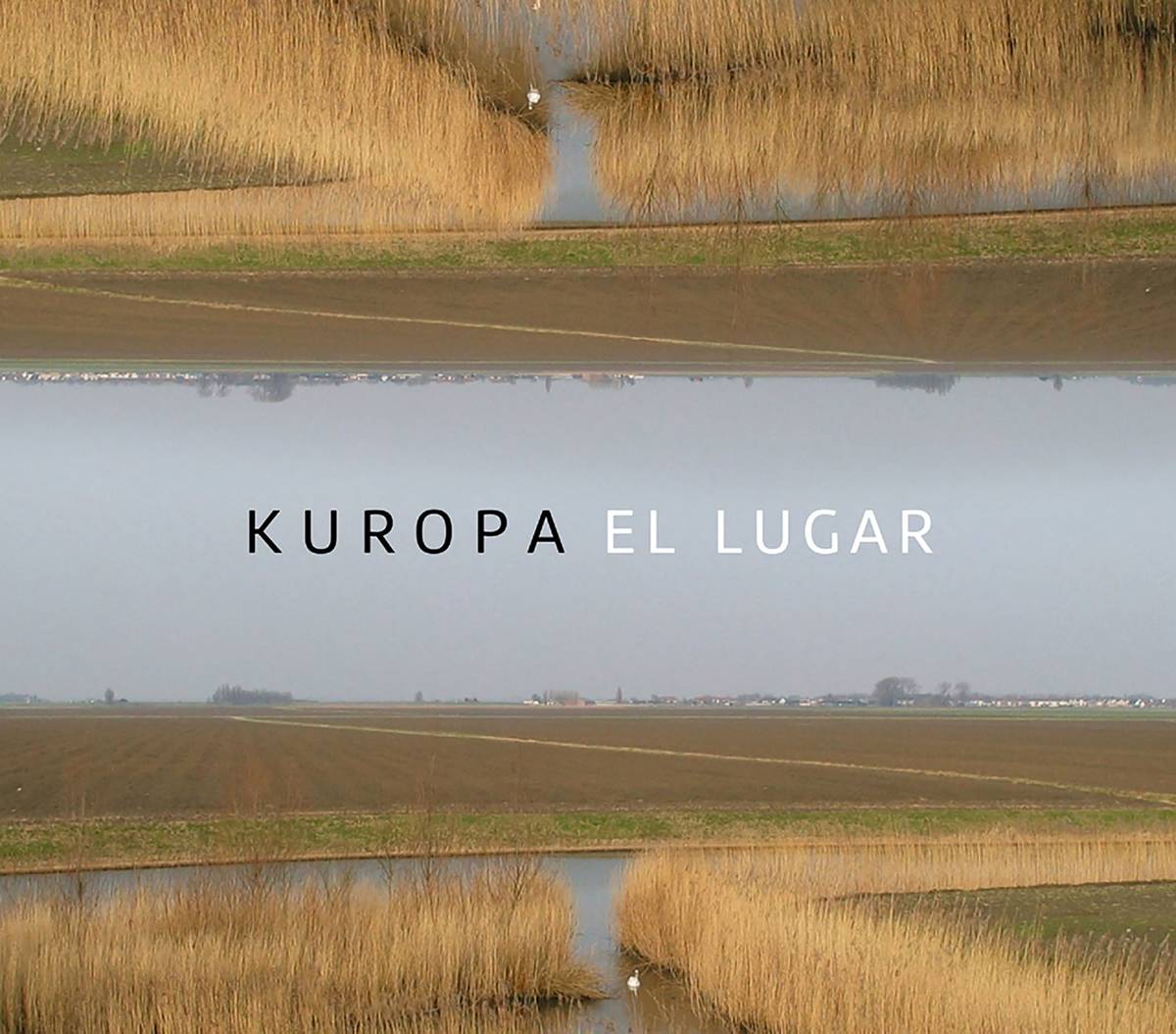 Volver A Las Raíces El Lugar Nuevo Disco De Diego Kuropatwa La