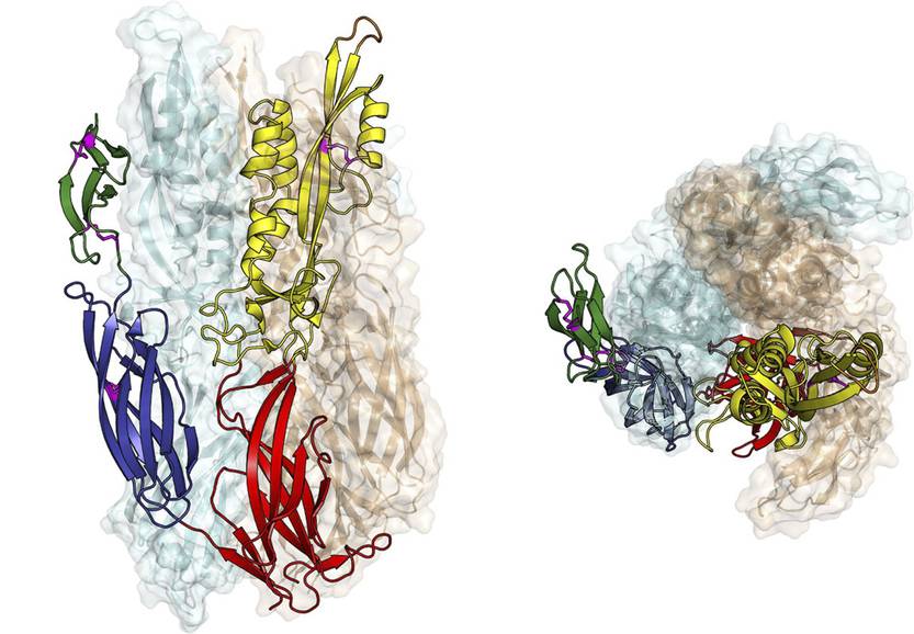 20220716 p15-17 ciencia