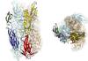 20220716 p15-17 ciencia