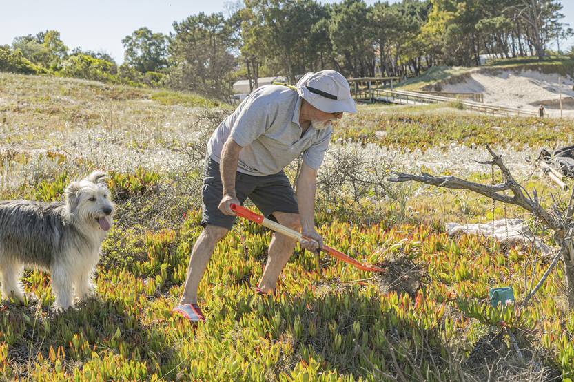 20251119 garra de león 4