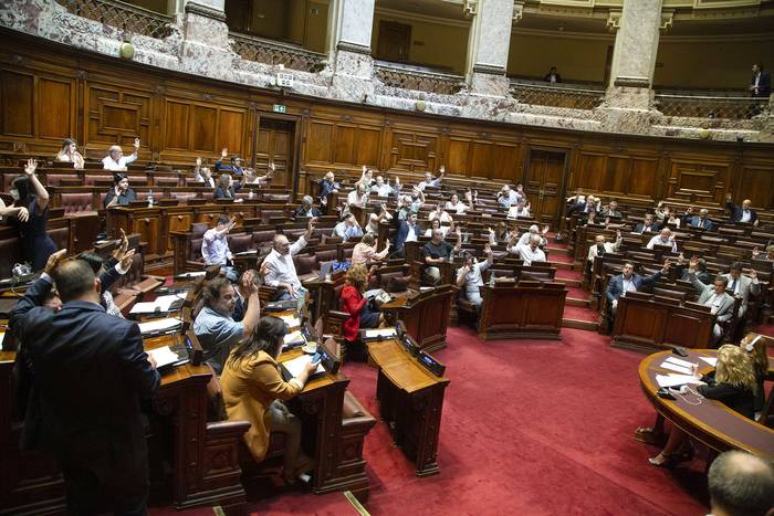 Tratamiento del proyecto de ley sobre tenencia compartida en la Cámara de Diputados (archivo, diciembre de 2022). · Foto: Camilo dos Santos