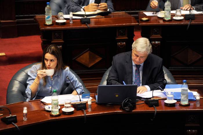 Carolina Ache y Francisco Bustillo, en la Comisión Permanente del Parlamento. · Foto: Federico Gutiérrez