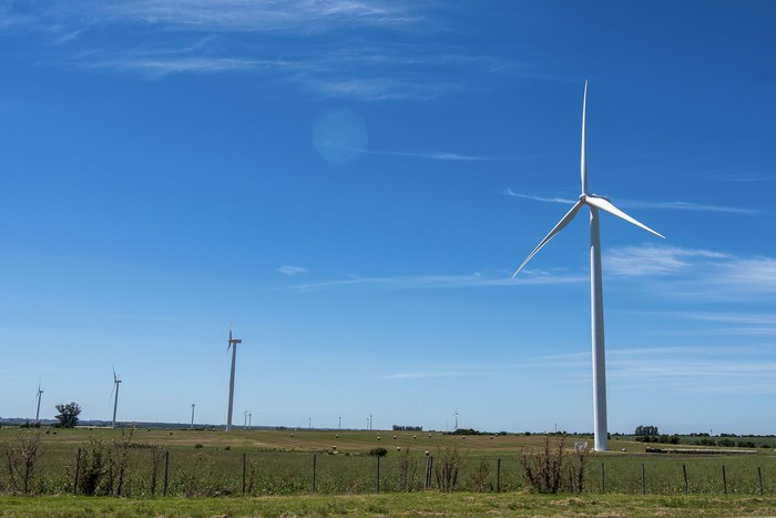 Molinos eólicos sobre ruta 22, en Tarariras, departamento de Colonia. · Foto: Ignacio Dotti