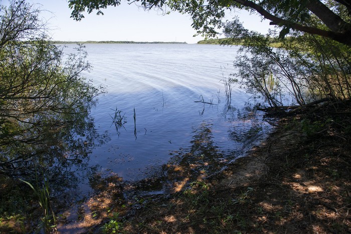 Río Uruguay en el área protegida Esteros de Farrapos, en Río Negro (archivo, diciembre de 2022). · Foto: Alessandro Maradei