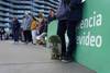 Skate Intendencia de Montevideo