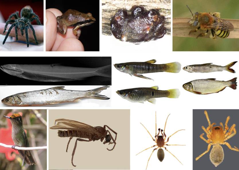 20260108 CIENCIA ABRE