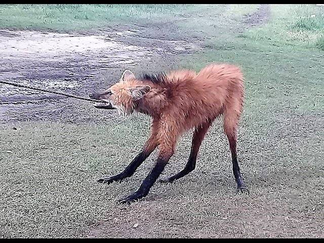 20251113 ciencia fake 4