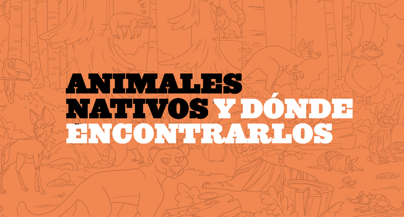 animales nativos cabezal