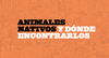 animales nativos cabezal