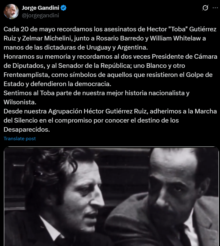 Gandini tuit 20M