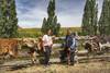 20250305 Mapuche 5