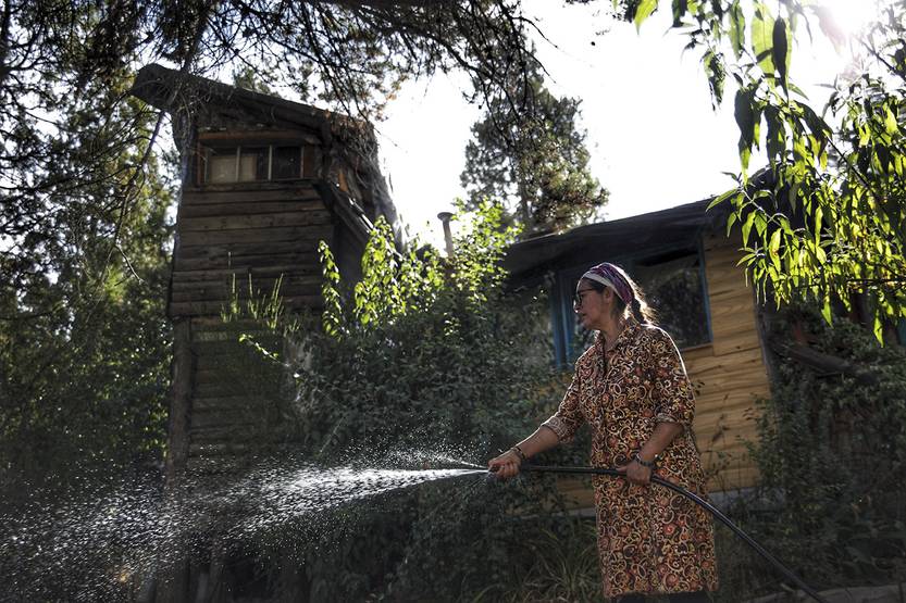 20250305 Mapuche 4
