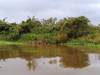 20230928 humedales