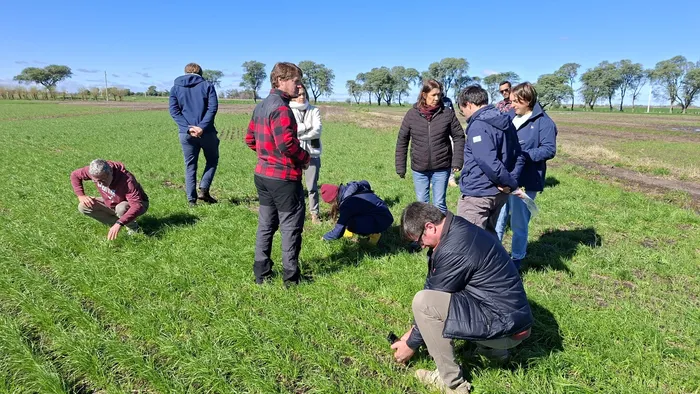 Foto principal del artículo 'La EEMAC reunió a investigadores uruguayos y alemanes en torno a la experimentación agrícola a gran escala' · Foto: Eemac, difusión