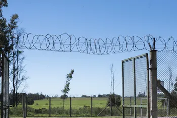 Foto: Alessandro Maradei (archivo, 2025)