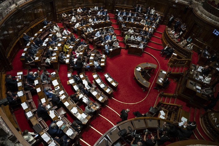 Asamblea General. · Foto: María Vivanco