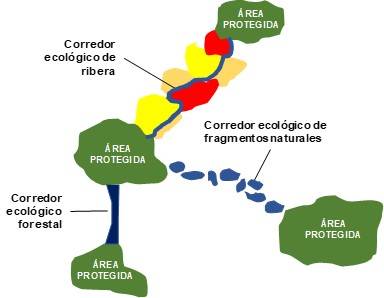 Imagen1