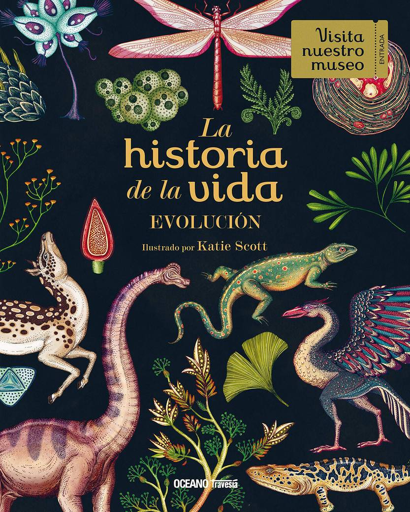 25 20230318 infantiles Para seguir en tema 3