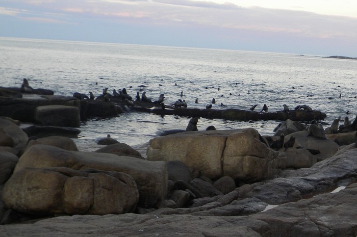 Isla de Lobos. Foto: gentileza Diana Szteren