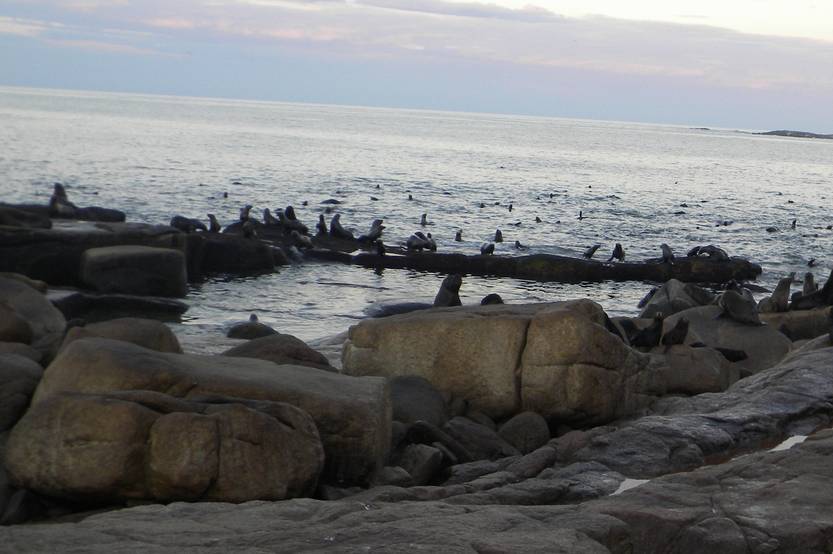 20240823 isla de lobos