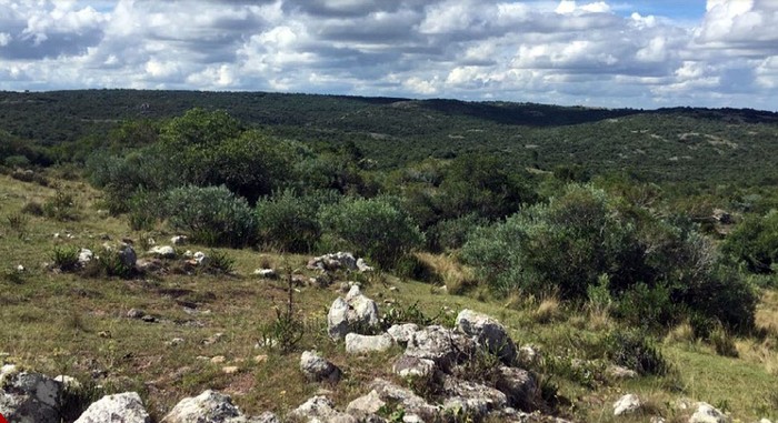 Foto principal del artículo 'Foro sobre naturaleza y ecopolíticas se desarrollará en una reserva de Lavalleja'