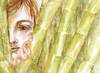 Lento 112 - La provincia intermedia