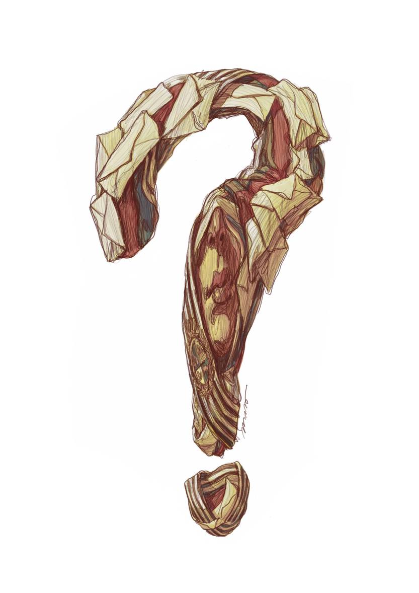 Preguntas para un balance de 11 años