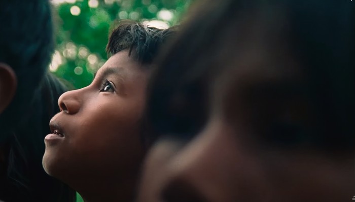 La flor del buriti.