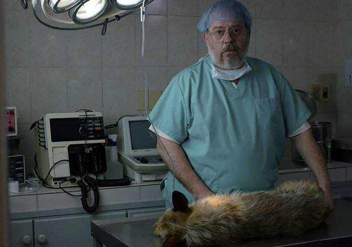 Foto principal del artículo 'Recoger la caca: sobre La muerte de un perro, de Matías Ganz'
