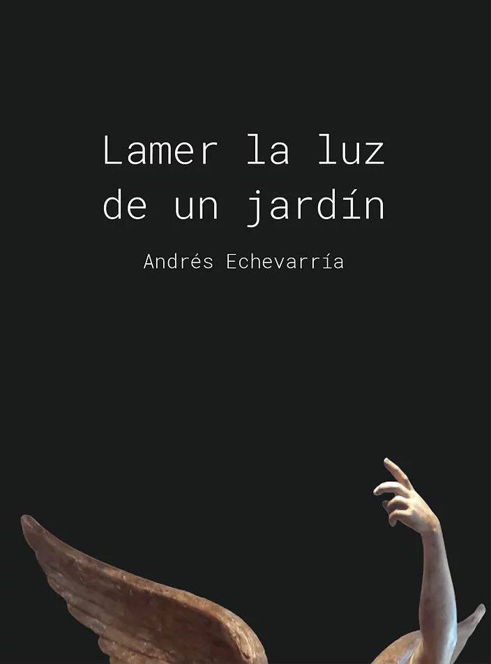 Lamer la luz