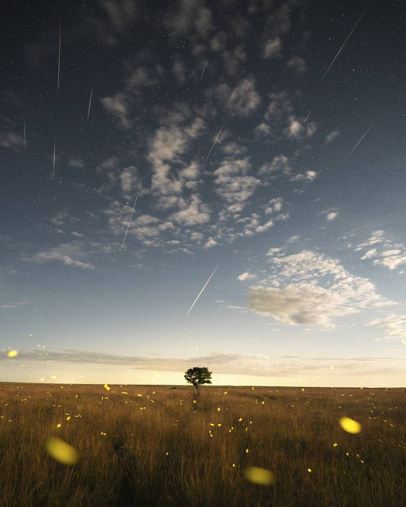 Lento 119 - Cielos de noche 01
