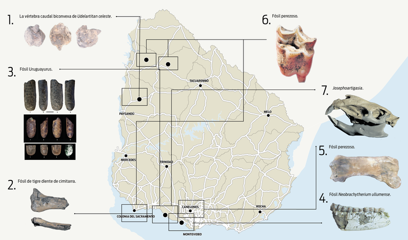 Mapa ciencia paleontología